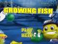Growing Fish Game